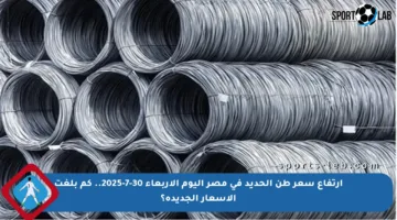 ارتفاع سعر طن الحديد في مصر اليوم الأربعاء 30-7-2025.. كم بلغت الأسعار الجديدة؟